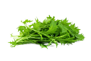 Mizuna lettuce isolated Japanese Mustard, vegetable salad for good health on white background