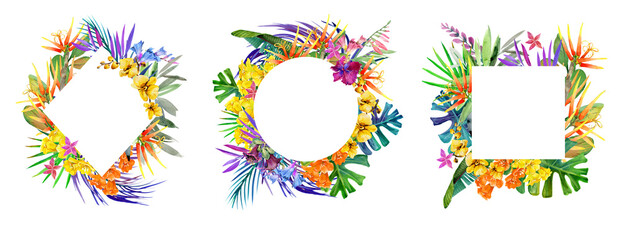watercolor tropical plant frames set. Floral summer arrangements illustration