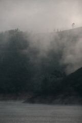 hill with trees near the water. Foggy early morning in nature.