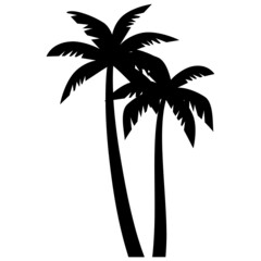 palm trees silhouettes