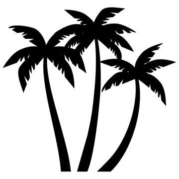 palm trees silhouettes