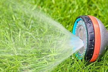 Fototapeta premium Lawn irrigation using a sprinkler