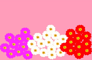 Background with primrose flowers.