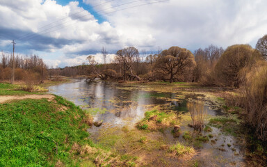 Panorama of the Izvarka river on a cloudy May day. Evening rural landscape with flood waters, marsh meadow grass, swamp hummock with convex grass. Family estate of N.K. Roerich. Izvara. Russia.