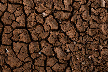 Close-up top view of dry ground with cracks in the background.
