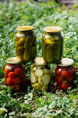 Canned vegetables in cans are in the middle of the garden. Harvesting and preparing supplies for the winter..