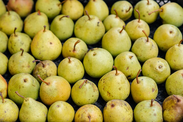 Boxes with ripe juicy pears are standing after harvesting close-up. Healthy organic food. Natural and environmentally friendly agriculture.