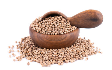 Coriander seeds in wooden bowl and spoon, isolated on white background. Cilantro grain. Organic spice.