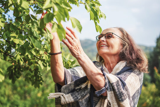 Happy beautiful elderly woman in glasses in the garden enjoying nature touching green leaves on a summer day