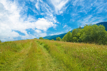 the glade is covered with grass and flowers on top of the mountains with blue skies and clouds. mountain landscape.