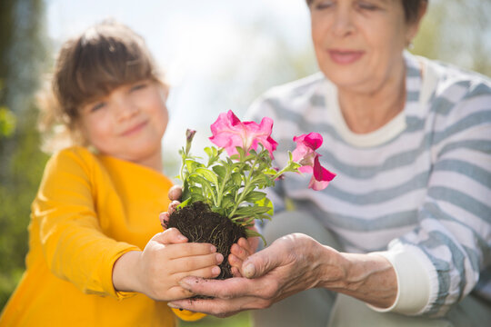 Spring awakening. Slow life. Enjoying the little things. Dreaming of spring. grandmother and child granddaughter plant flowers near the house. Child girl help grandmother work in the garden.