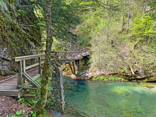 Hiking trail with wooden bridges over river Kamacnik, Gorski kotar, Croatia