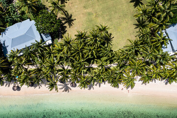 Aerial view of Flic en Flac beach from above, palm trees and umbrellas, Mauritius, Africa