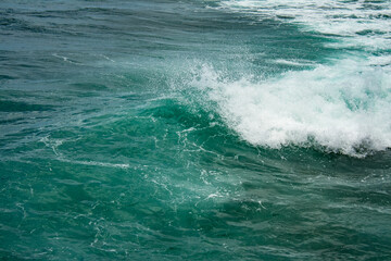 Oahu landscapes and flowers
