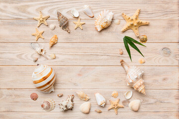 Summer time concept on colored background. Seashells from ocean shore in the shape of frame separated with space for text top view