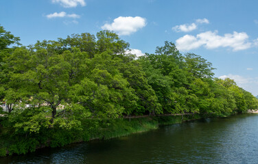 화순 동복천 둔동마을의 느티나무와 왕버들