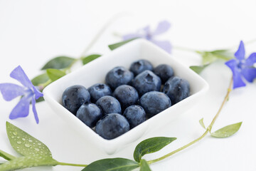 blueberries on a white square plate on white background