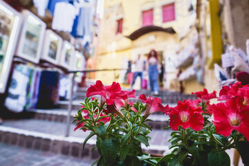 Flower pot outdoors at old Greek street.