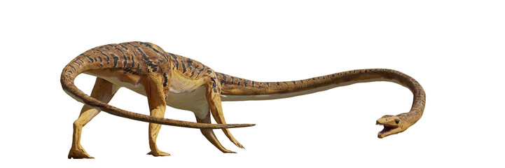 Tanystropheus, extinct reptile from the Middle to Late Triassic period, isolated on white background banner