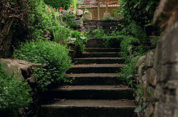 Stone steps in green plants