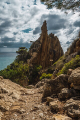 naturaleza agresiva