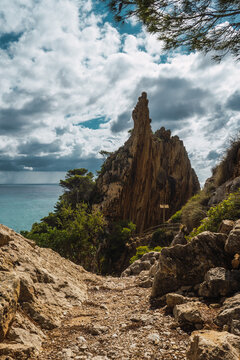 punta flecha
