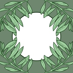 A square banner with green olive branches. Vector illustration with a round empty space for text.