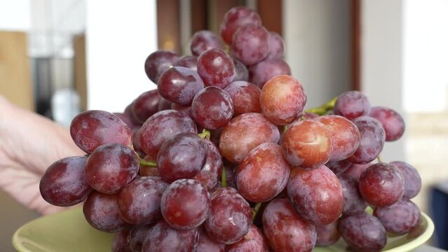 Close up view slow motion 4k stock video footage of green plate standing on table in kitchen full of fresh red grapes berries. Woman turns plate with big clusters of red juicy grapes laying on plate