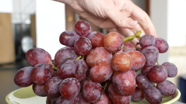 Close-up view slow motion 4k stock video footage of empty green plate standing on table in kitchen. Woman puts three big clusters of red juicy grapes on plate slowly