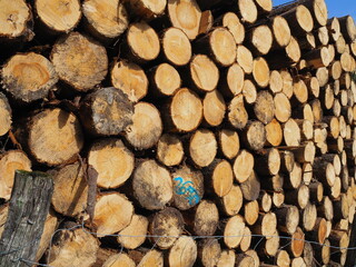 Monte Saibi, ruta de senderismo en el parque natural de Urkiola. España.