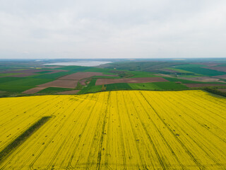 Aerial view of agriculture yellow and green fields from above