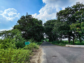 Vibrant Springtime Scenic View of asphalt road connected to the countryside area, big tree covered road like tree tunnel.Farmland in the both side of the road at Gulbarga, Karnataka, India.