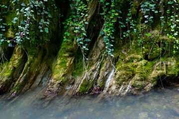 
The Svirskoye Gorge in Sochi