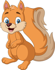 Cute little squirrel cartoon isolated on white background