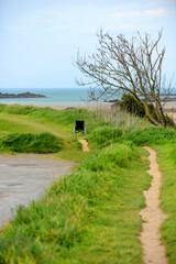 Petit sentier côtier