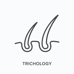 Trichology flat line icon. Vector outline illustration of skin and hair follicle. Black thin linear pictogram for dermatology