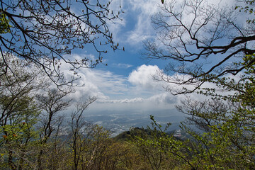 山頂からの風景