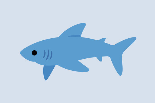 Cute shark - cartoon animal character. Vector illustration in cartoon style.