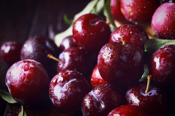 Fresh plums. Juicy ripe plums as background. The concept of fresh, non-toxic fruit from the farm.
