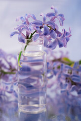 a small sprig of lilac flowers in a small transparent bottle