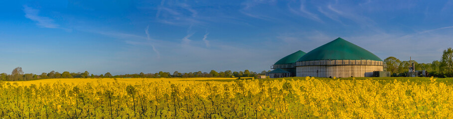 Panorama view of countryside with biogas plant. Yellow flowering rapeseed field with agricultural factory in the countryside. Renewable energy from biomass.  - obrazy, fototapety, plakaty