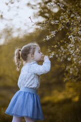 Dziewczynka zaciekawiona wiosennym drzewem - obrazy, fototapety, plakaty