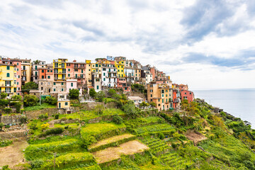 Fototapeta premium , Cinque Terre, Liguria, Italy