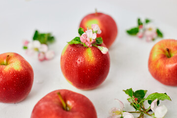 Apple flowers and ripe red apples flat lay on a white  background, Fruits and flowers, sping concept. Top view