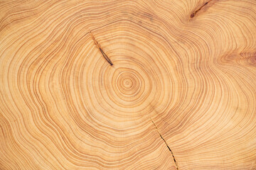 wood cut texture
