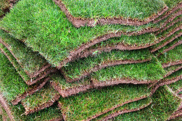 Stacks of green sod patches, used for grass lawn making