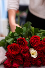 Florist at work. Close-up female hands cut roses Woman making a bouquet of red roses for valentines day. Fresh roses for bouquet delivery.