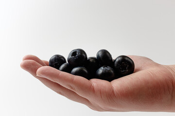 blueberries on a white background