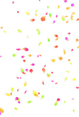 背景素材_水彩_花吹雪_カラフル