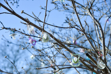 ast mit blüten kirsch eapfel baum